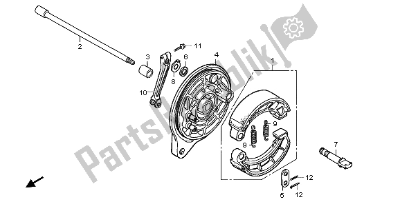 All parts for the Rear Brake Panel of the Honda VT 750C2 2007