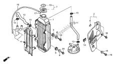 termosifone