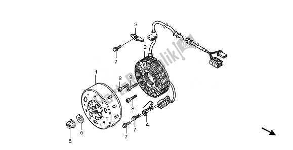 All parts for the Generator of the Honda NHX 110 WH 2008