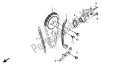 cadena de levas y tensor