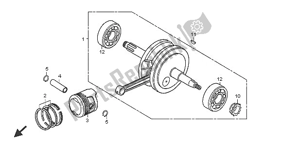 All parts for the Crankshaft & Piston of the Honda CRF 70F 2005