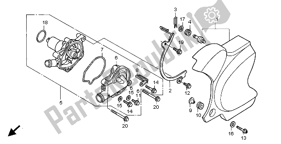 Alle onderdelen voor de Waterpomp van de Honda VT 750C 1999