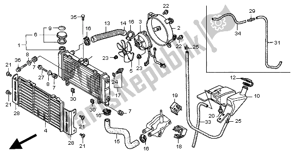 Todas las partes para Radiador de Honda CB 600F Hornet 2000