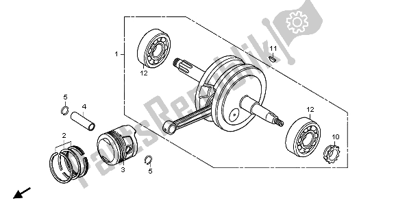 All parts for the Crankshaft & Piston of the Honda CRF 70F 2006