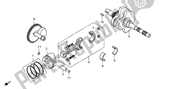 All parts for the Crankshaft & Piston of the Honda NSS 250A 2009