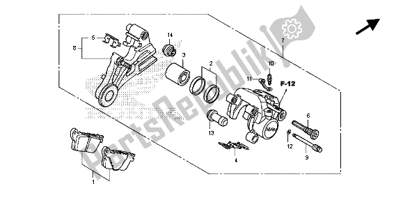 All parts for the Rear Brake Caliper of the Honda CB 600F Hornet 2013