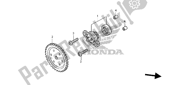 All parts for the Oil Pump of the Honda SH 125 AD 2013