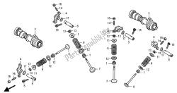 árbol de levas y válvula