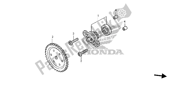 Wszystkie części do Pompa Olejowa Honda SH 125D 2013