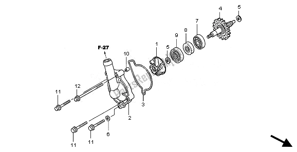 All parts for the Water Pump of the Honda CRF 250X 2008