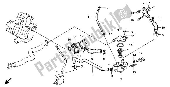 All parts for the Water Pipe of the Honda XL 1000V 1999