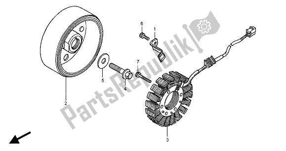 All parts for the Generator of the Honda CB 600F Hornet 2004