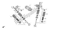 CAMSHAFT & VALVE