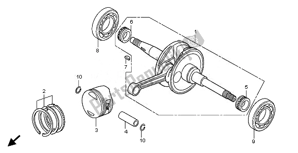 All parts for the Crankshaft & Piston of the Honda FES 125 2008