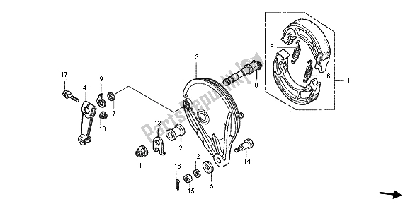 All parts for the Rear Brake Panel of the Honda CBF 125M 2013