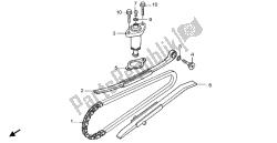 CAM CHAIN & TENSIONER