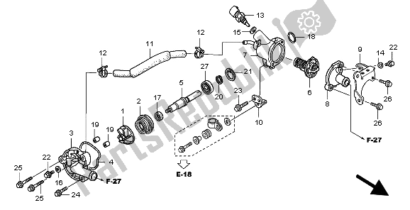 All parts for the Water Pump of the Honda PES 150 2009