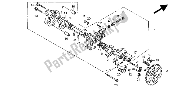 Tutte le parti per il Pompa Dell'olio del Honda NX 650 1997