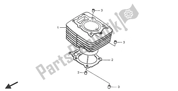 Todas las partes para Cilindro de Honda TRX 350 FE Fourtrax 4X4 ES 2005