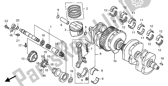 All parts for the Crankshaft & Piston of the Honda CB 1300 SA 2007