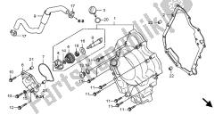 RIGHT CRANKCASE COVER & WATER PUMP