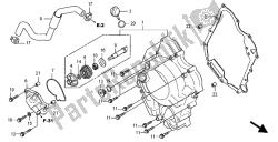 RIGHT CRANKCASE COVER & WATER PUMP