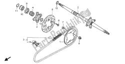 asse ruota posteriore e catena di trasmissione