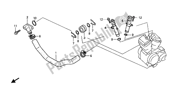 Tutte le parti per il Tubo Dell'acqua del Honda VT 750C 2007