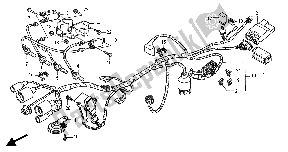 All parts for the Wiring Harness of the Honda CB 600F2 Hornet 2001