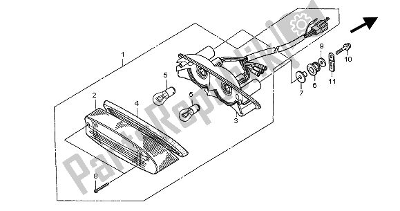 Tutte le parti per il Fanale Posteriore del Honda CB 600F Hornet 2002