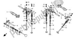 albero a camme e valvola