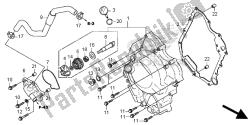 RIGHT CRANKCASE COVER & WATER PUMP