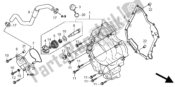 All parts for the Right Crankcase Cover & Water Pump of the Honda SH 300A 2013