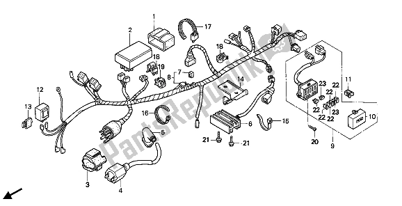 All parts for the Wire Harness & Ignition Coil of the Honda NX 250 1989