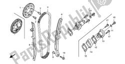 cadena de levas y tensor