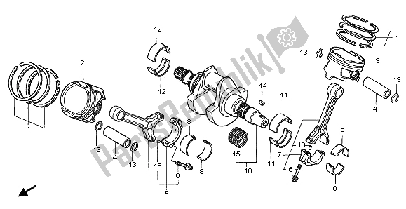 All parts for the Crankshaft & Piston of the Honda XL 1000V 2003