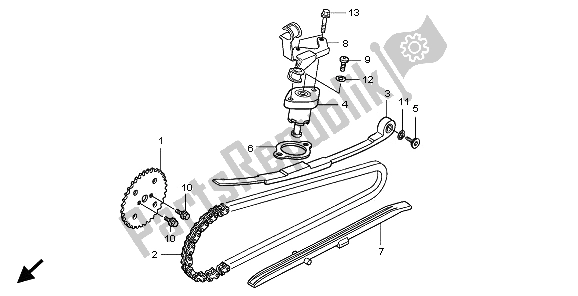 All parts for the Cam Chain & Tensioner of the Honda SH 125D 2009