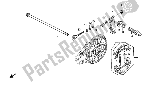 All parts for the Rear Brake Panel of the Honda CRF 70F 2007