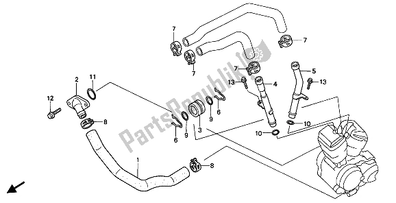 Tutte le parti per il Tubo Dell'acqua del Honda VT 600 CM 1991