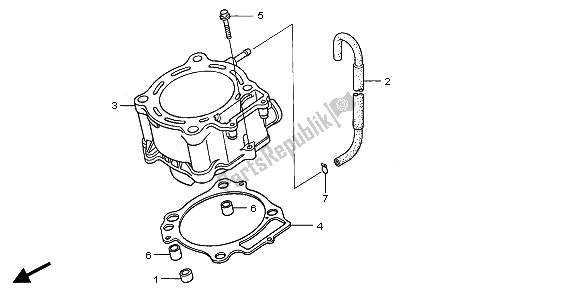 Tutte le parti per il Cilindro del Honda TRX 450 ER 2008