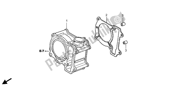 All parts for the Cylinder of the Honda FES 150 2009