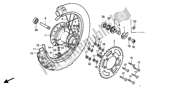 Todas las partes para Rueda Trasera de Honda XR 600R 1986