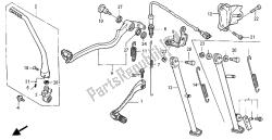 pedal y soporte