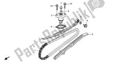 CAM CHAIN & TENSIONER