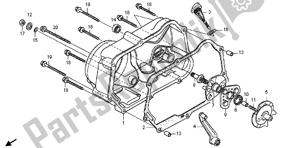 Tutte le parti per il Coperchio Carter Destro del Honda CRF 50F 2013