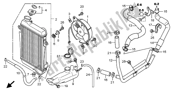 All parts for the Radiator of the Honda SH 300A 2010