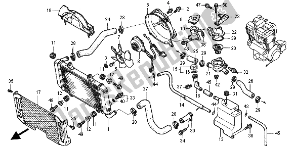 All parts for the Radiator of the Honda CB 1300X4 1999