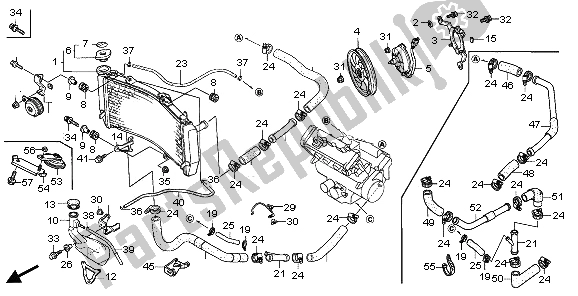 Todas as partes de Radiador do Honda CBR 600 RR 2006