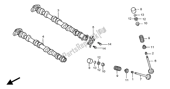 All parts for the Camshaft & Valve of the Honda CB 900F Hornet 2005