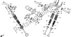 CAMSHAFT & VALVE